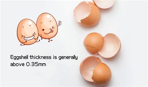 how to measure egg shell quality